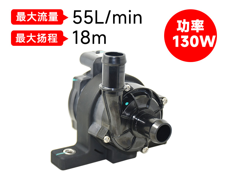 P6220汽車電子泵(12V)